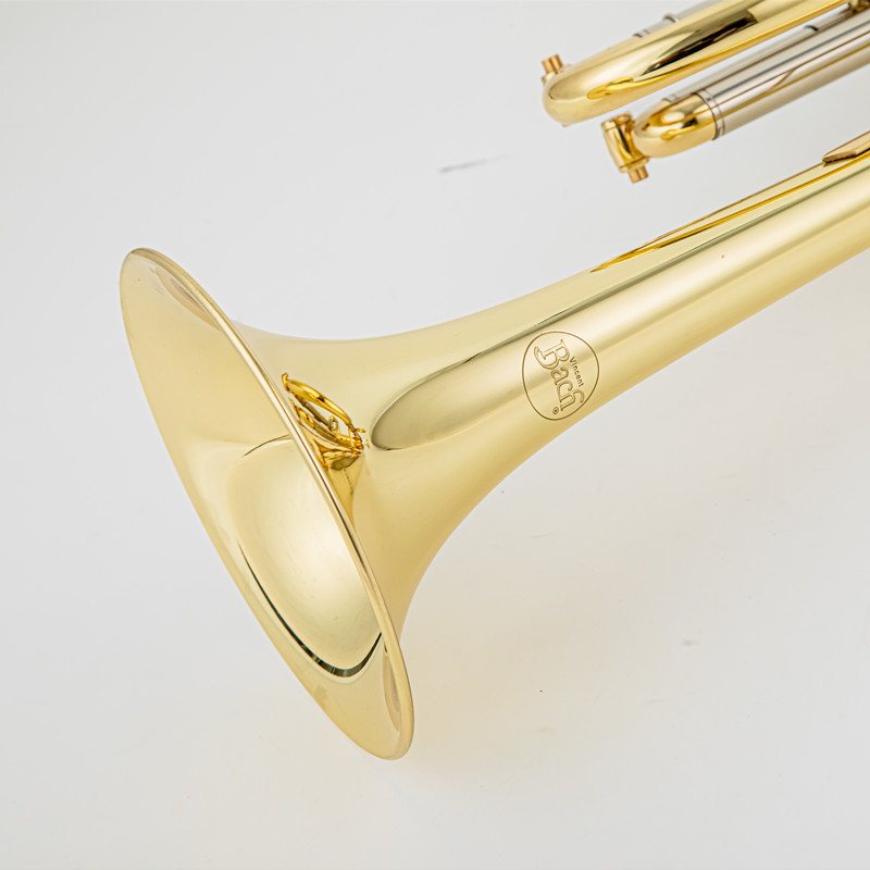 Vincent Bach Trumpet Bb B Flat - Trombone Mouthpiece recension och pris