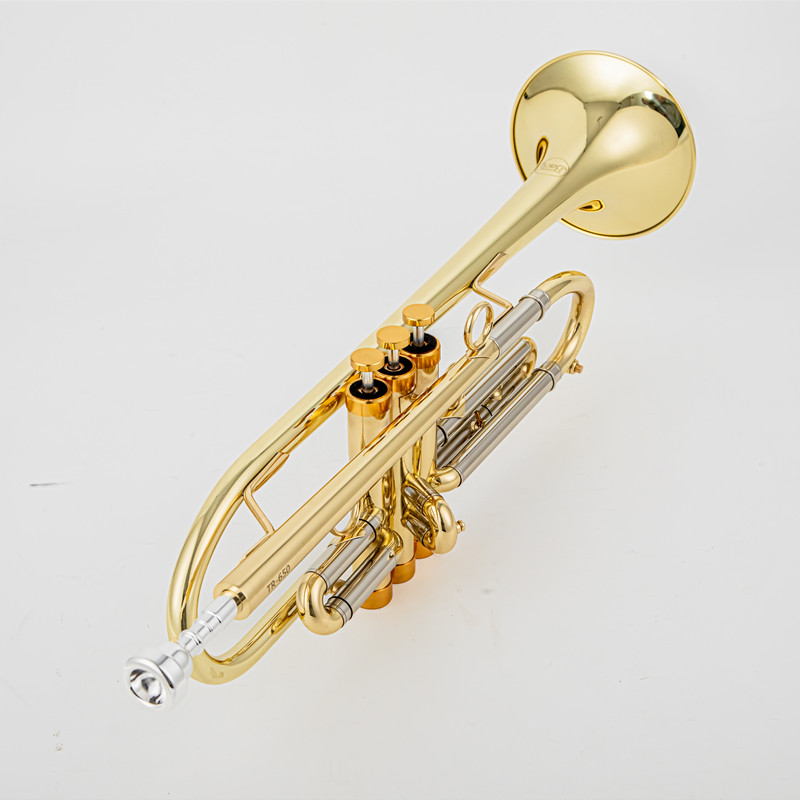 Vincent Bach Trumpet Bb B Flat - Trombone Mouthpiece recension och pris