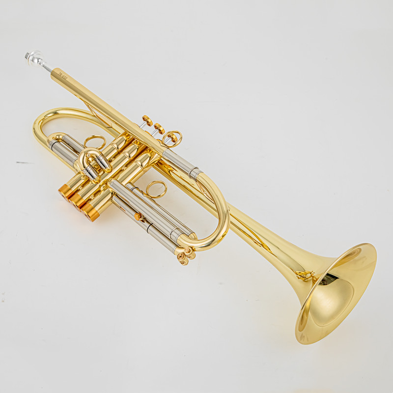 Vincent Bach Trumpet Bb B Flat - Trombone Mouthpiece recension och pris